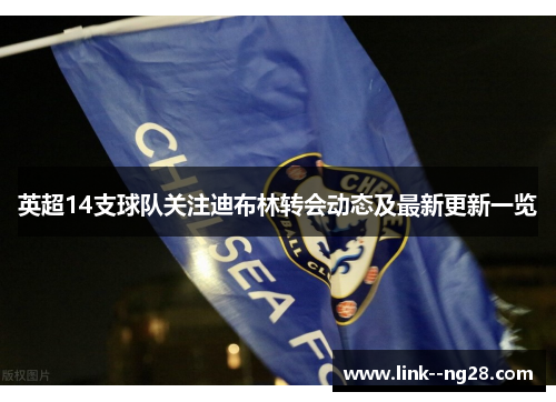 英超14支球队关注迪布林转会动态及最新更新一览