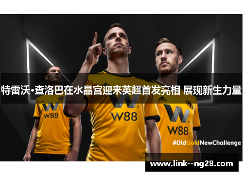 特雷沃·查洛巴在水晶宫迎来英超首发亮相 展现新生力量