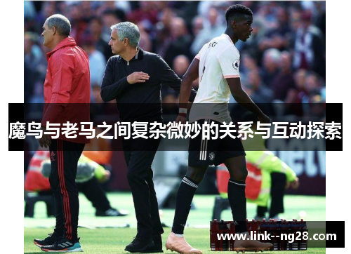 魔鸟与老马之间复杂微妙的关系与互动探索 魔鸟与老马之间复杂微妙的关系与互动探索
