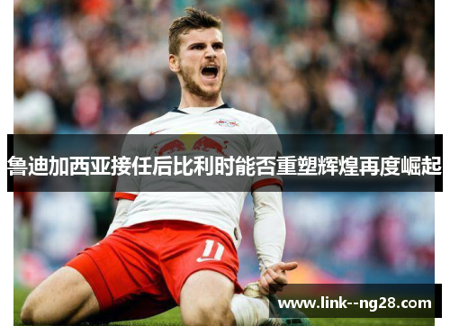鲁迪加西亚接任后比利时能否重塑辉煌再度崛起 鲁迪加西亚接任后比利时能否重塑辉煌再度崛起